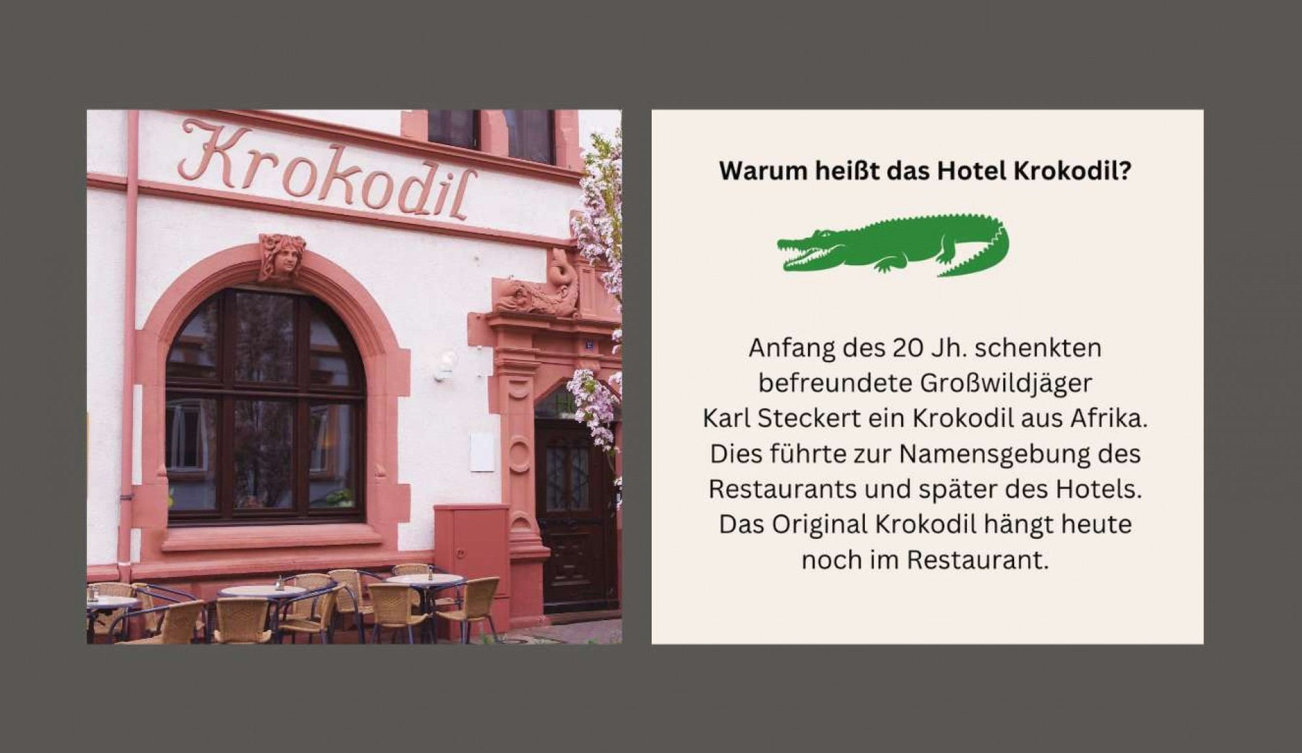 Hotel Krokodil - Namensherkunft